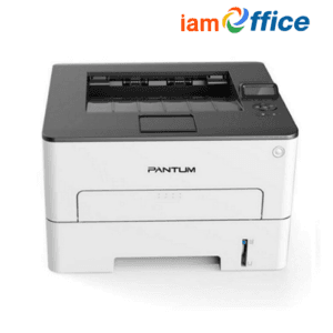 เครื่องปริ้นเตอร์เลเซอร์ PANTUM P3010DW