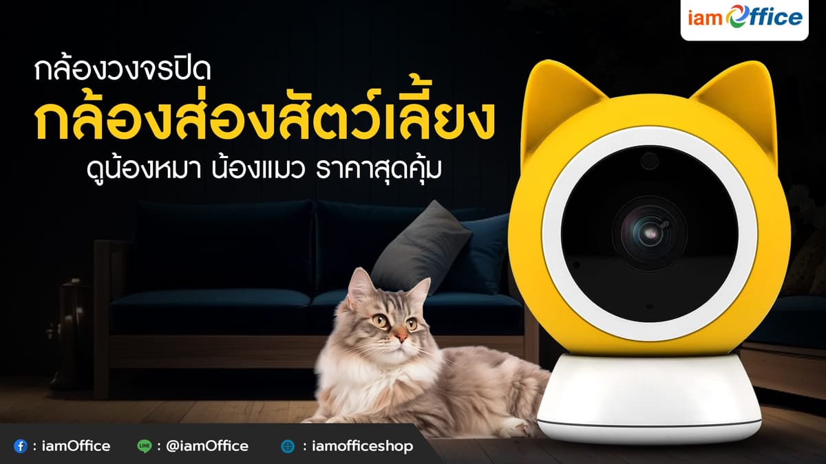 กล้องวงจรปิด กล้องส่องสัตว์เลี้ยง ดูน้องหมา น้องแมว ราคาสุดคุ้ม