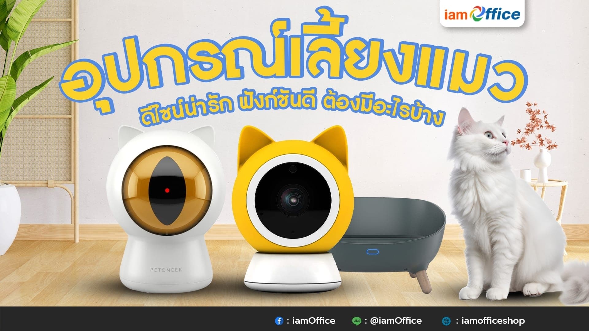 อุปกรณ์เลี้ยงแมว ดีไซน์น่ารัก ฟังก์ชันดี ต้องมีอะไรบ้าง!