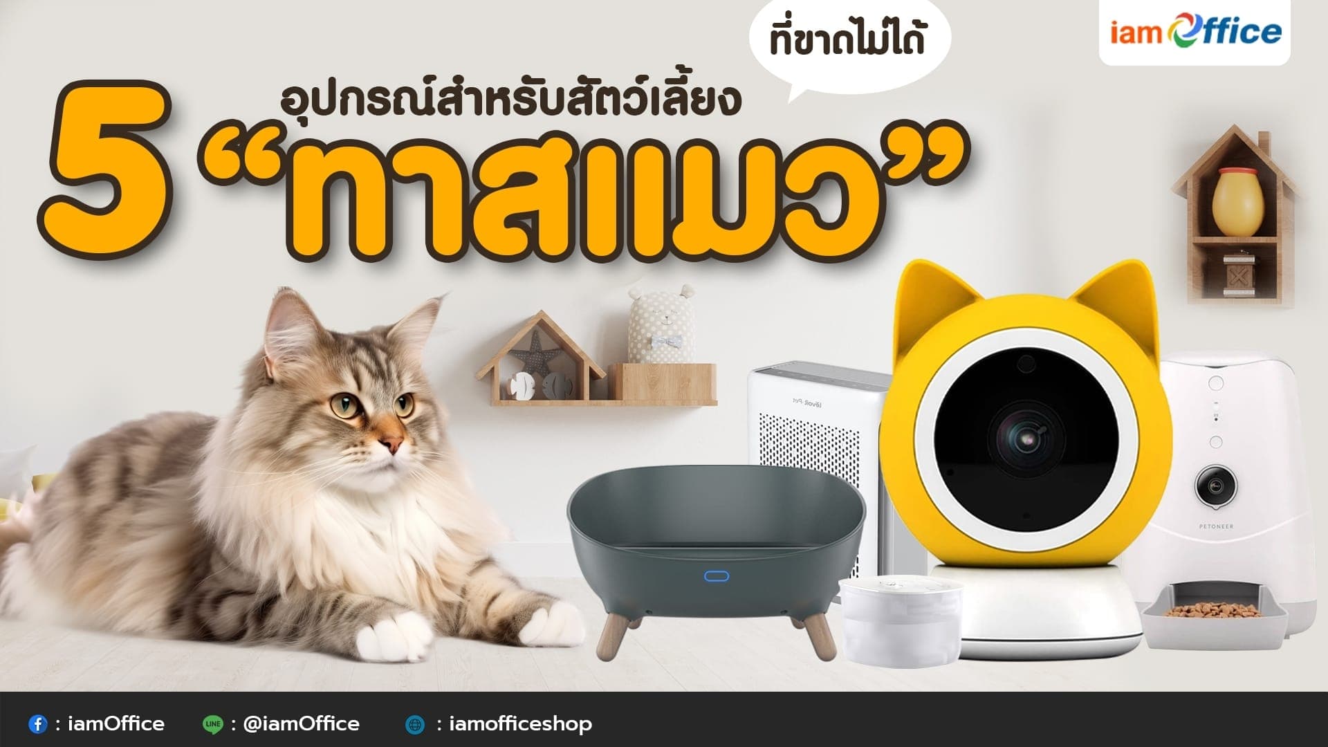 5 อุปกรณ์สำหรับสัตว์เลี้ยง “ทาสแมว” ที่ขาดไม่ได้