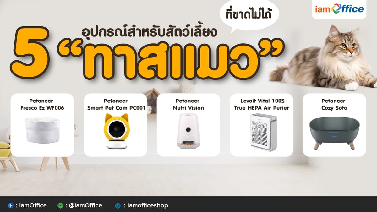 5 อุปกรณ์สำหรับสัตว์เลี้ยง “ทาสแมว” ที่ขาดไม่ได้