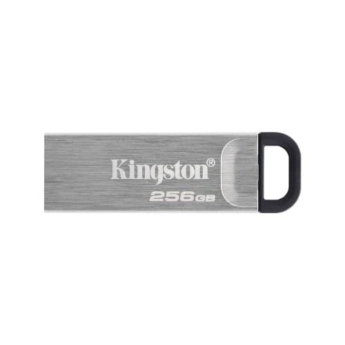 DTKN 256GB