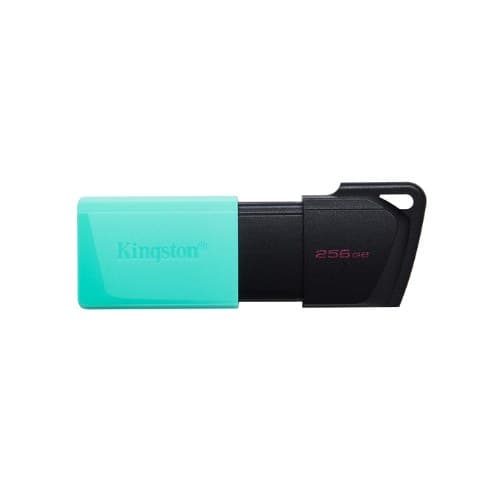 DTXM 256GB