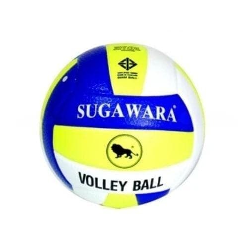 วอลเลย์บอล ตราสิงห์ สี