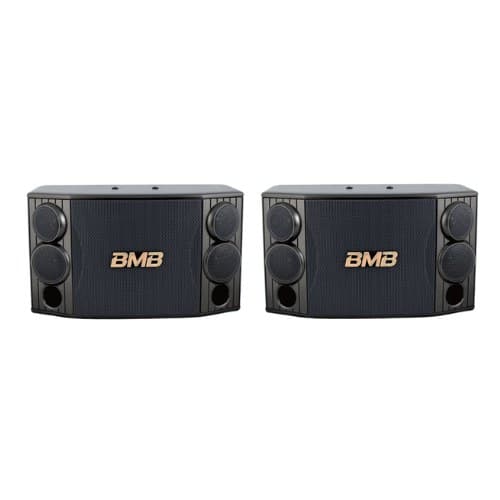 ลำโพง Karaoke Speaker 400/1000 Watt 10" (BTH-CSD-880)