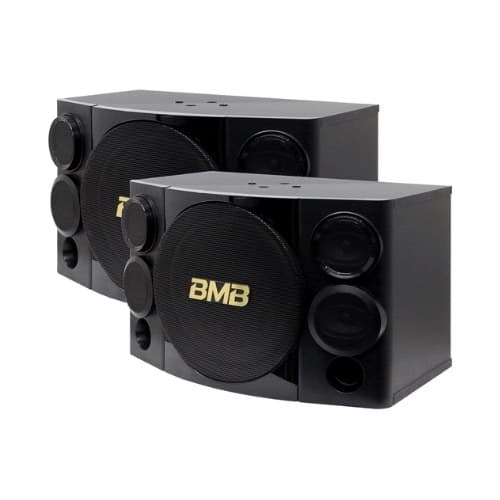 ลำโพง Karaoke Speaker 250/500 Watt 10" (BTH-CSE-310ll)